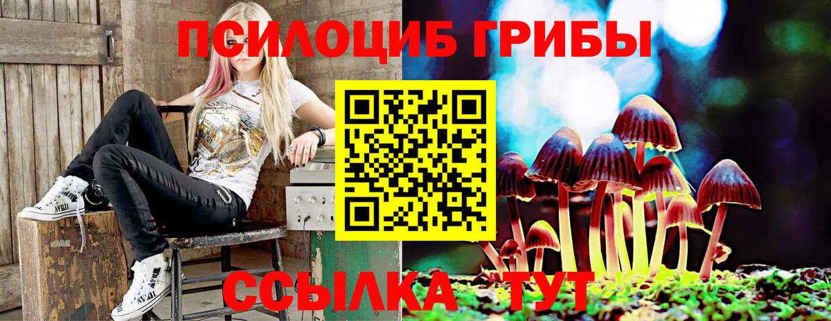 Изобильный  Псилоцибиновые грибы GOLDEN TEACHER  Вход с VPN 